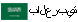 بالعربية