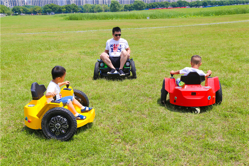 Lawn car Grassland Vehicle For Sale